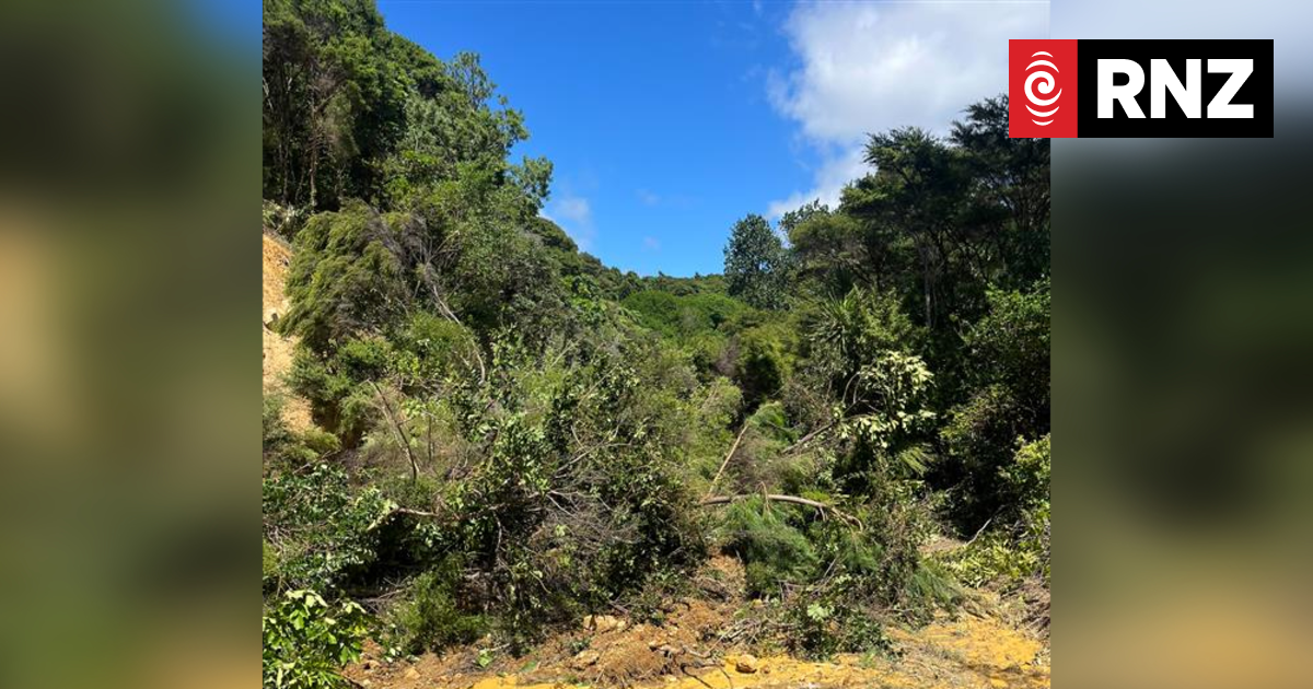 Witness describes 'water and debris everywhere' as slip engulfs Hicks Bay Motor Lodge