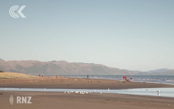 Taputeranga Marine Park.