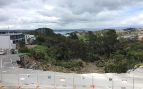 The landslip at the Rawene Road carpark.