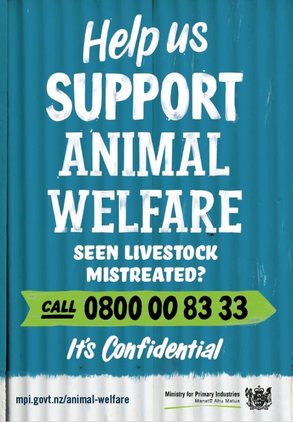 MPI has launched a campaign calling on people to report animal abuse.