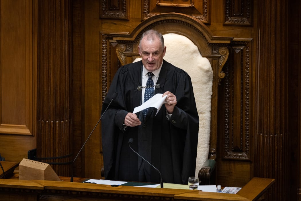 Trevor Mallard addresses the House