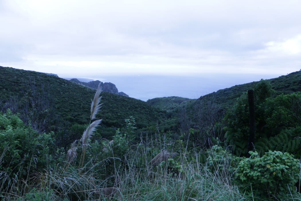 View from near the Ahuahu track.