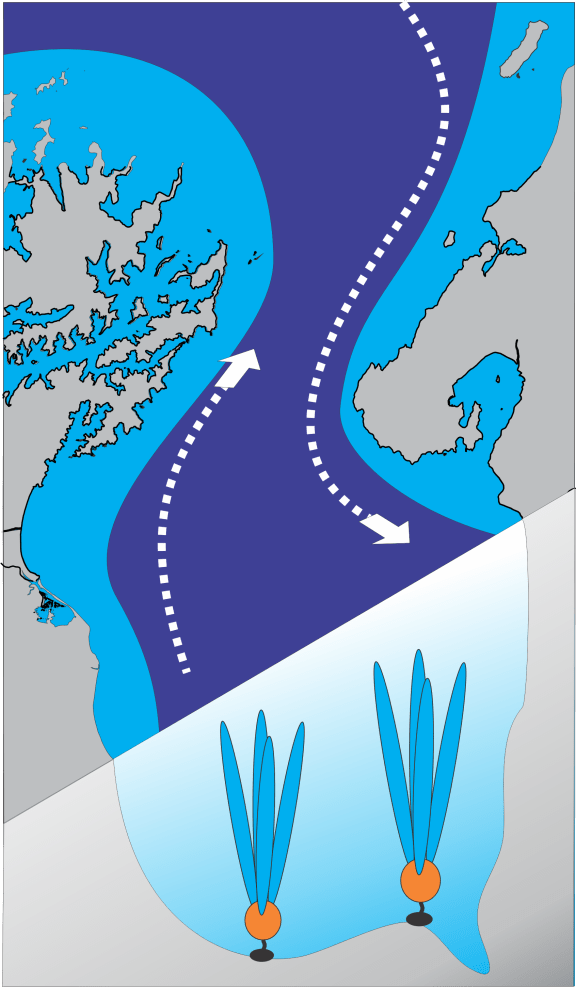 This graphic illustrates how the instruments track water transport across Cook Strait.