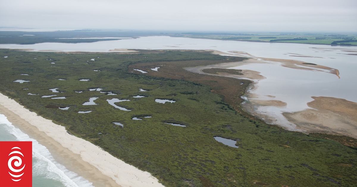 Hope for Southland lagoon after toxic algae threat - Vimarsana News