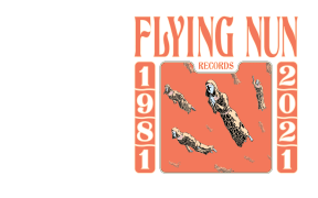 Flying Nun 40th Anniversary Banner