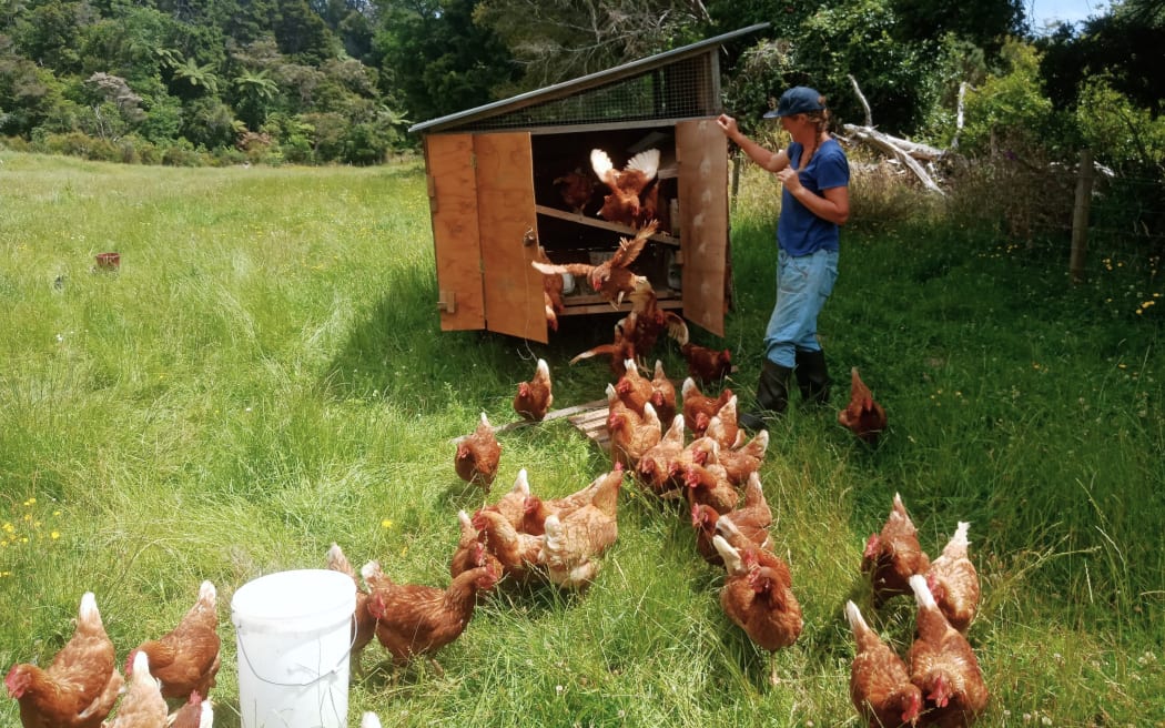 Ellis Creek Farm