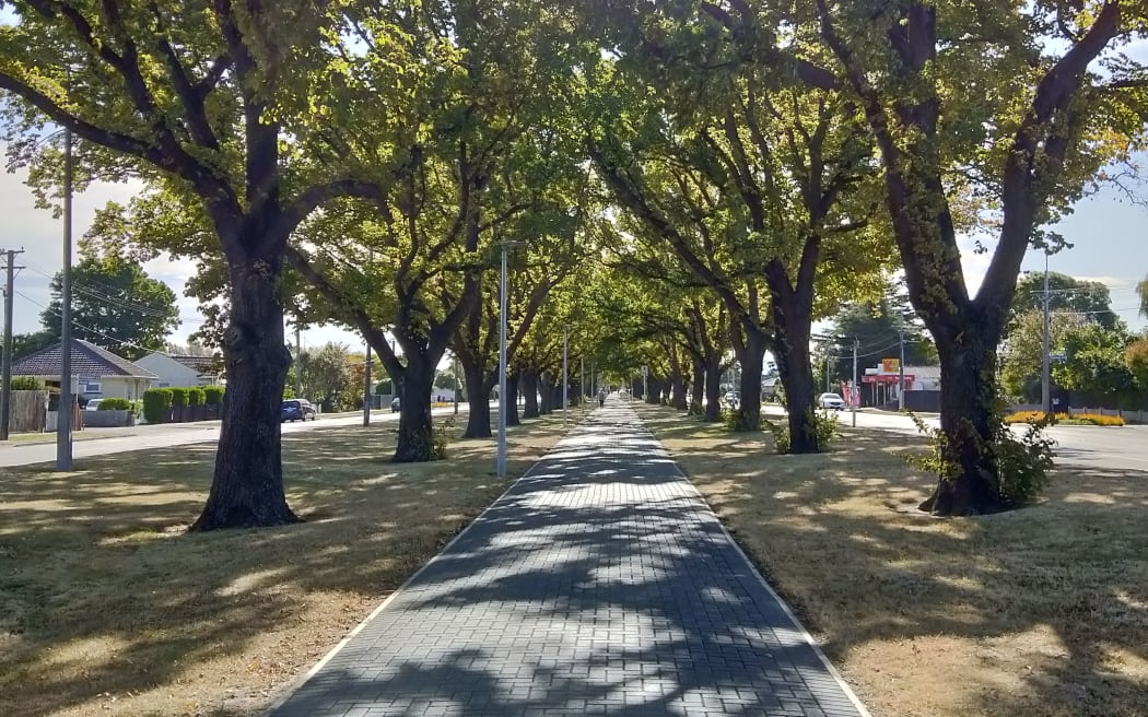 Linwood Avenue Cycleway in Christchurch
