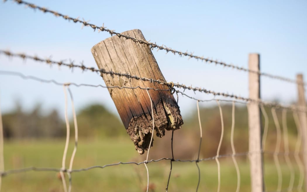 SH1 North of Kaikōura.
