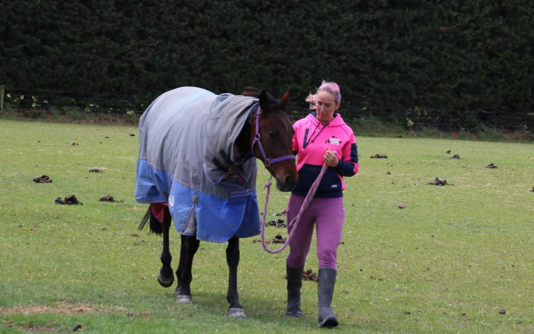 Working horses adjust to new life off the track RNZ