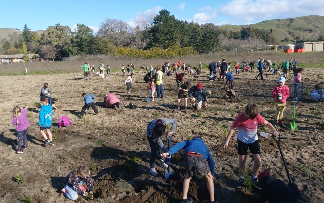 Students from Eskdale School lending a hand at three of the Esk River Planting Group's planting days.