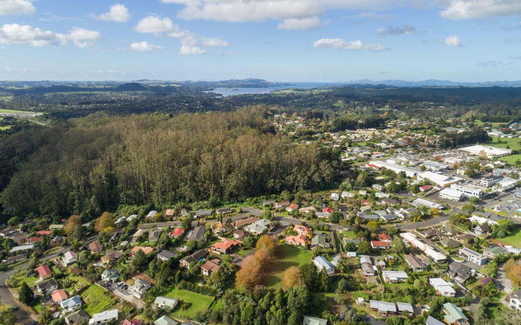 The so-called Bing property, currently covered in 90-year-old gum trees, is the last significant chunk of undeveloped, residential-zoned land in central Kerikeri.