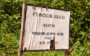 Signpost for Korindo's  PT Inocin Abadi logging concession