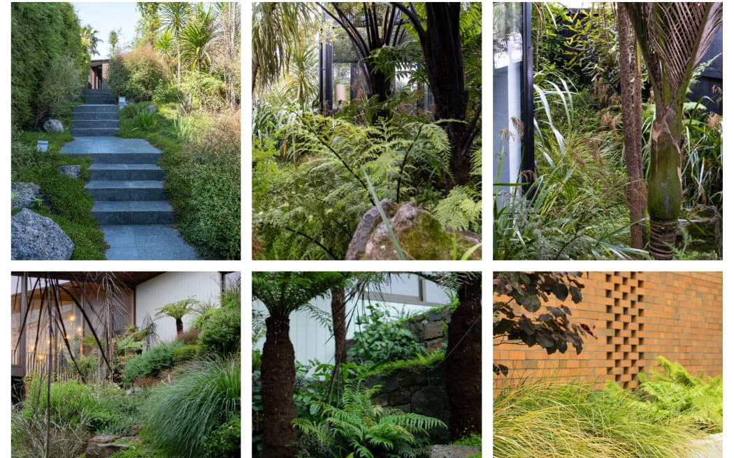 Xanthe White on how to use native plants
