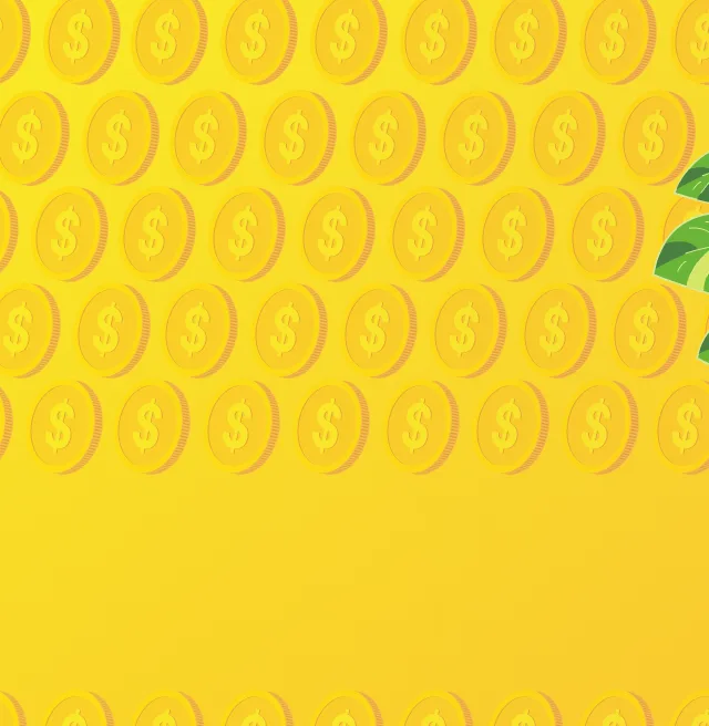 Bright yellow background patterned with gold coins featuring dollar signs. On the right, a stylized money plant grows from a stack of coins, with a wooden sign reading 'Season 4' hanging among its green leaves.