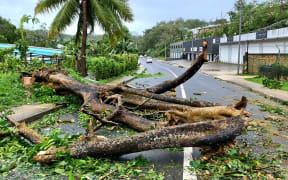 A road blocked by the uprooted trees after Cyclone Judy made landfall in Port Vila, Vanuatu on March 1, 2023.