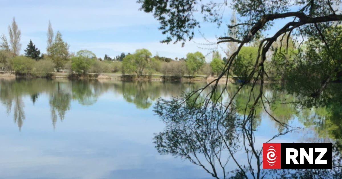 An up-close look at the bad bugs hiding in our lakes, according to scientists