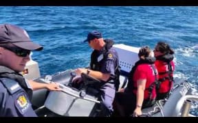 Albatross set free from Wellington zoo