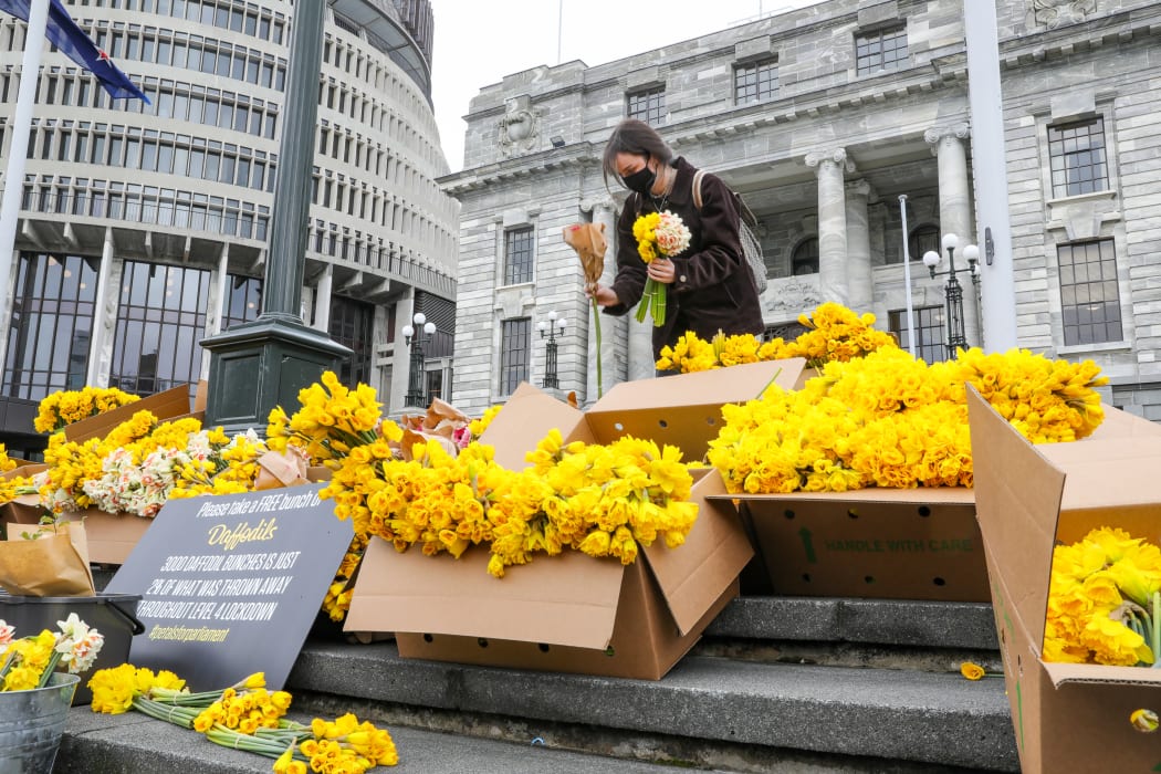 A protest from flower growers who can't sell their crop