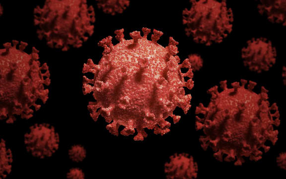Covid-19 coronavirus particles, illustration.