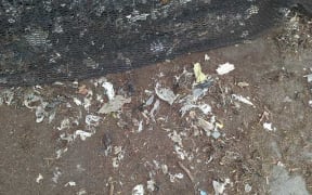 Plastic waste in compost