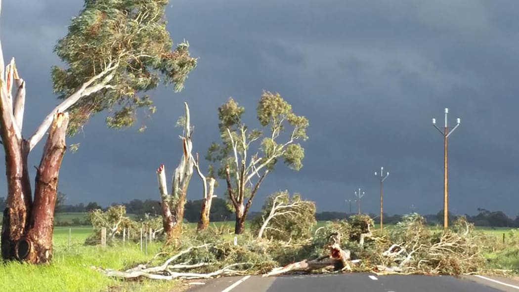 All of South Australia was left without power on Wednesday after high winds hit the state.