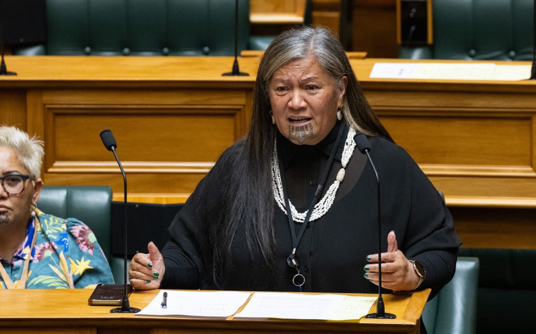 Te Pāti Māori MP, Mariameno Kapa-Kingi speaking in the House.