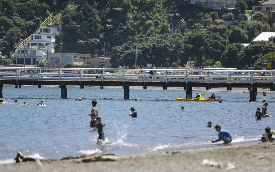 Summer in Eastbourne, Wellington.