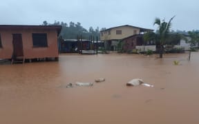 Homes along River Road in Narere.