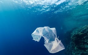 Living without plastic.