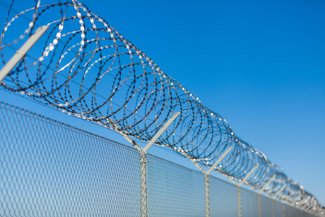 Coiled razor wire on top of a fence.