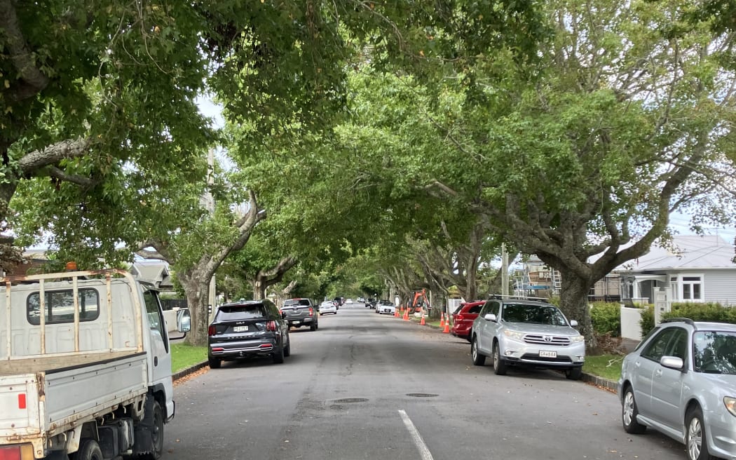 A photo taken from the middle of a suburban street looking down the road. Cars are parked on either side. There are large trees with big canopies and thick trunks lining the berms outside houses stretching down as far as visible.