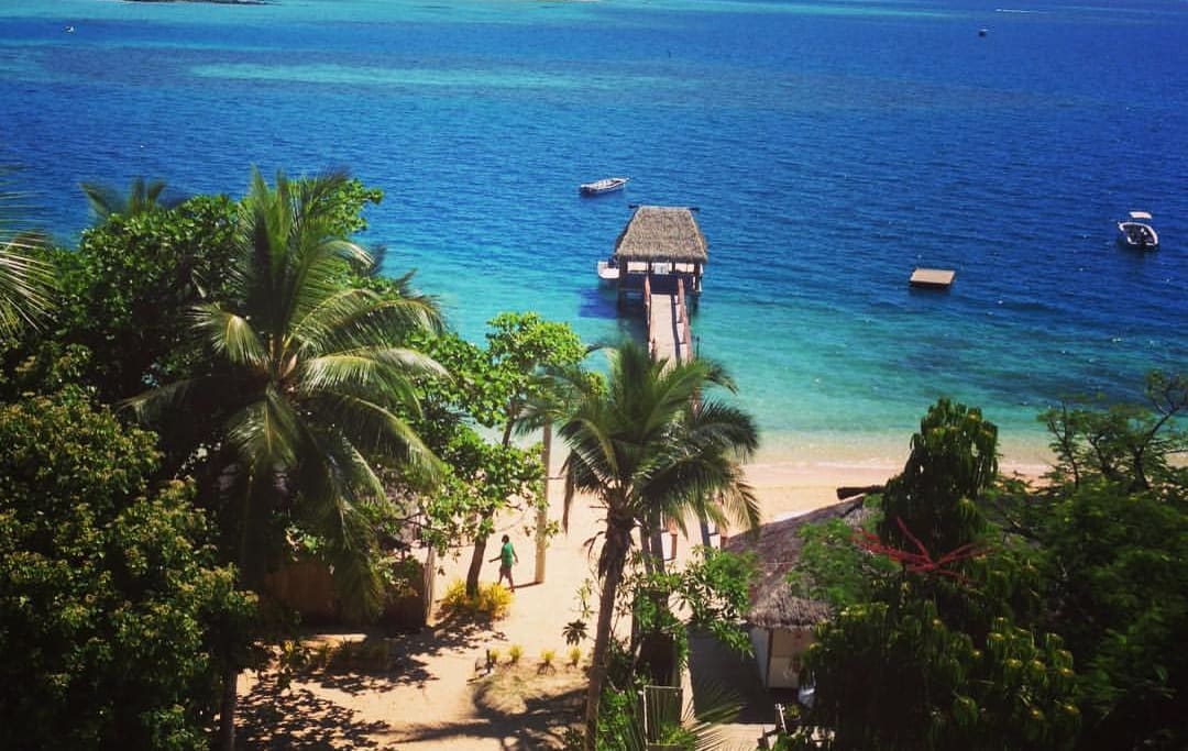 Malolo Island view from the top of a coconut tree.