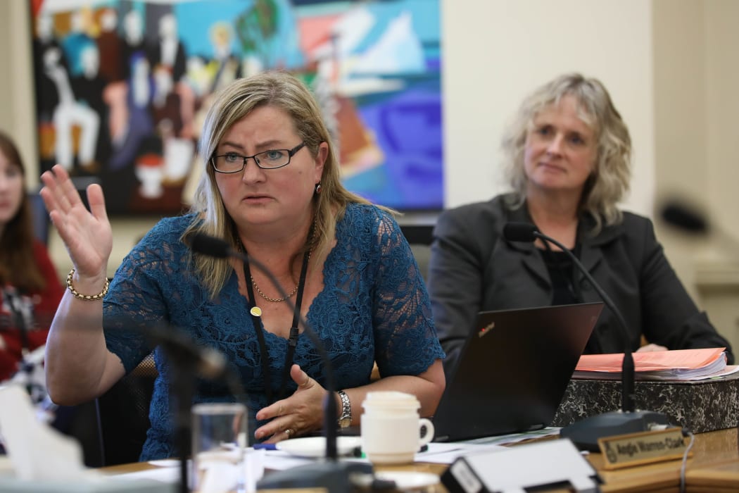 Labour MP Angie Warren-Clark in select committee