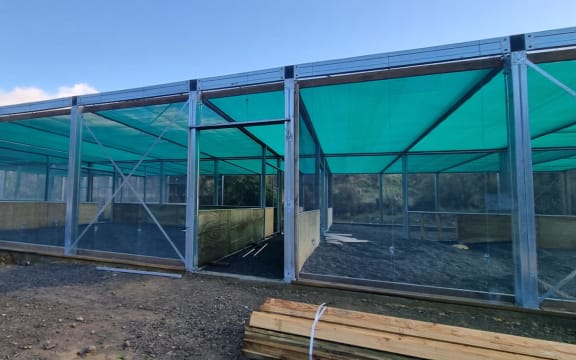 Building of a new shore plover aviary at Pūkaha National Wildlife Centre is underway.