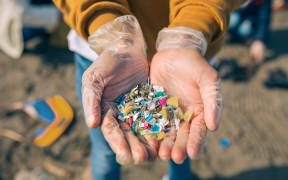 Microplastics on the beach.