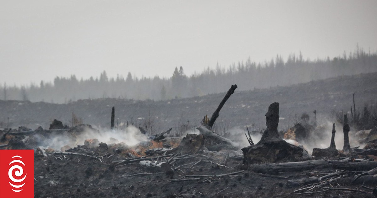 Pukaki Downs fire: 'Huge relief' as rain falls and wind dies down - Vimarsana News