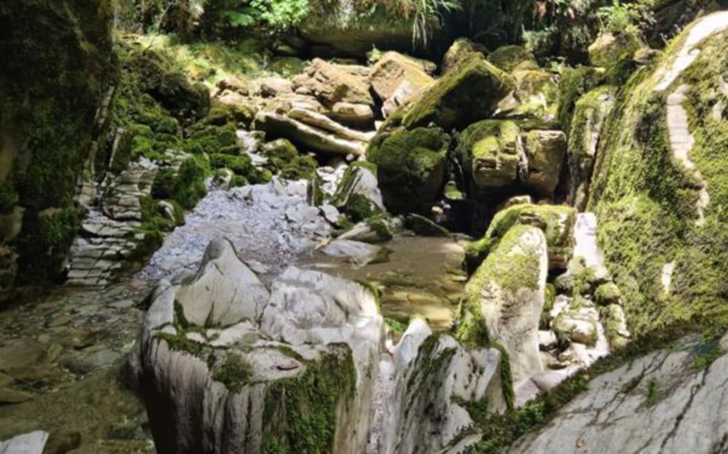 Cave Creek (Kotihotiho) is in the Paparoa National Park, on the West Coast.