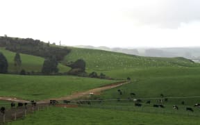 Back to the paddock