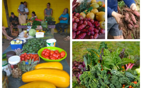 Community crop swapping initiative in Waitara