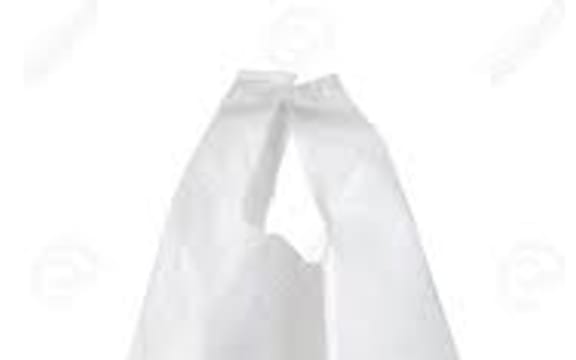 plastic bag