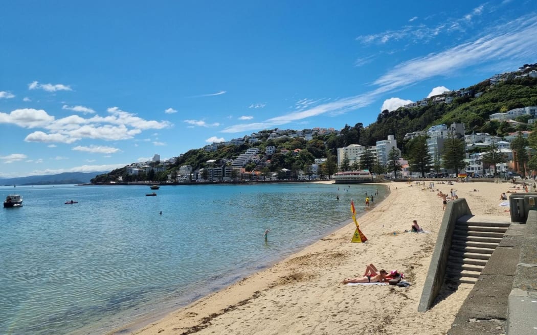 Oriental Bay beach, Wellington on 10 January 2024 on a day that temperatures were forecast to hit 25C in the capital.