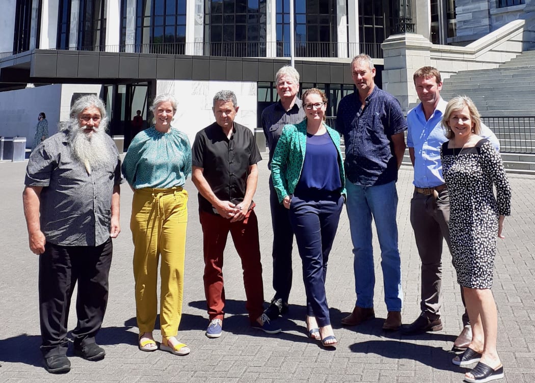 The guardians made their submission to government last month at the Beehive. Rebecca McLeod is pictured fourth from the right.