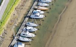 Boats grounded on a silt bar at Whakatāne Yacht Club’s marina at low tide over the past month.