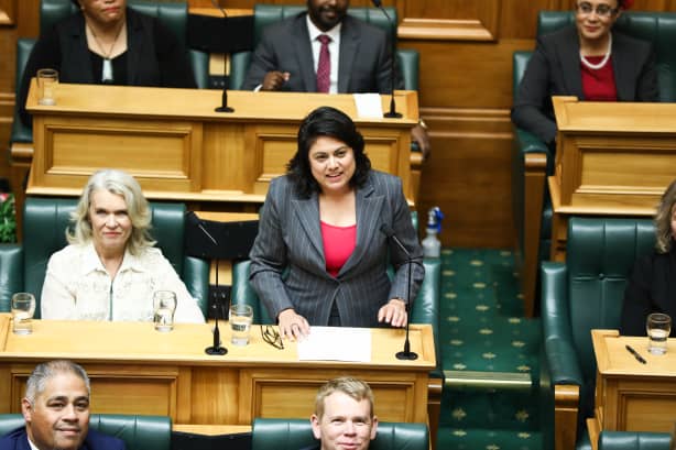 Policing political race speech with a posse | RNZ