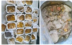 Screenshots taken from the internal investigation done by Haeata Community Campus into mouldy lunches being distributed to students on December 1. 