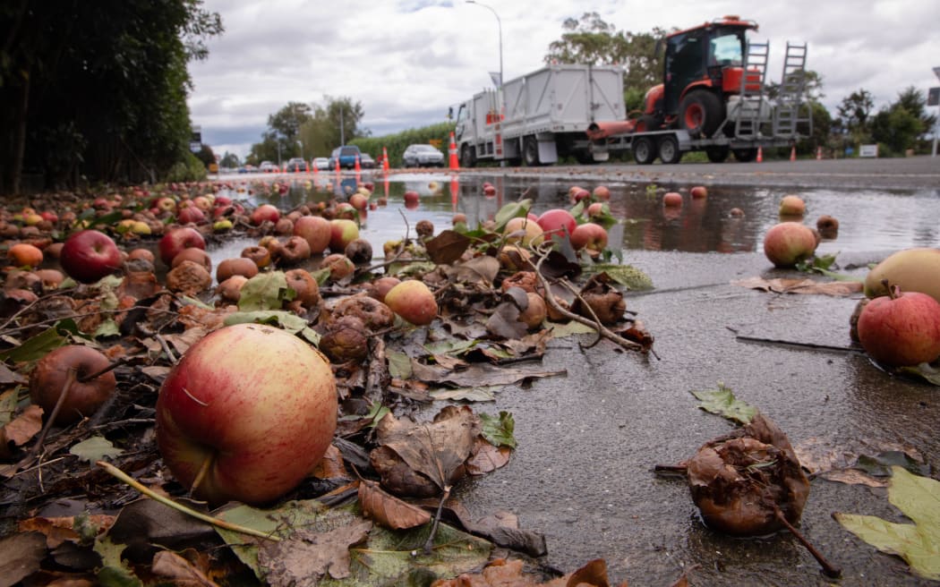 A flooded orchard and apples strewn over the road just outside Hastings.