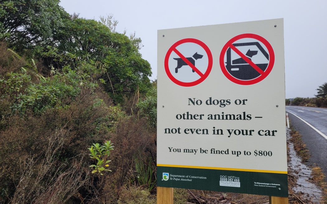 Signs clearly state no dogs are allowed in Tongariro National Park