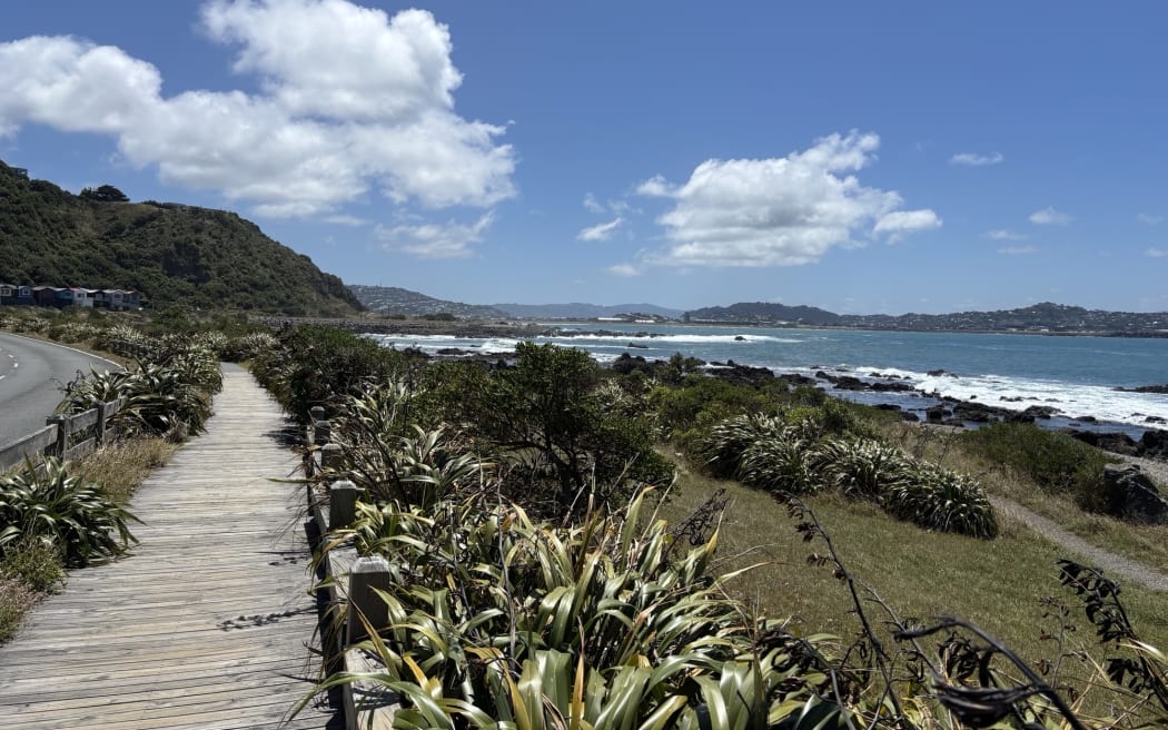 Te Raekaihau Point in Wellington.