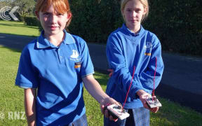 Citizen scientists undertake first ever survey of Taranaki penguin