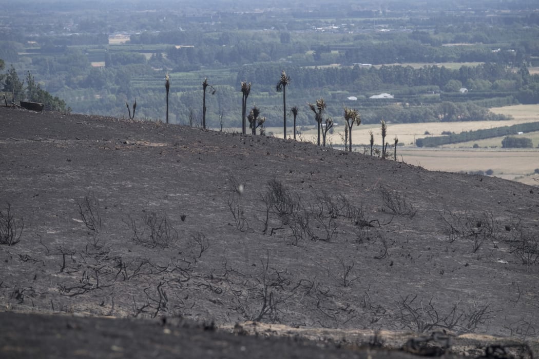 Aftermath of the fires in the Port Hills, Christchurch. Thursday. 16 February 2017